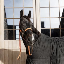 Kentucky Presentatielijn | Gevlochten Nylon | 2M -Equestrian Supply Store 485a8941 e8502ded370e565d04389cf2c54c4715 article photobook crop