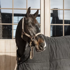 Kentucky Halster | Gevlochten Nylon -Equestrian Supply Store 485a8964 e8502ded370e565d04389cf2c54c4715 article photobook crop1