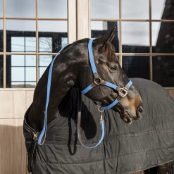 Kentucky Presentatielijn | Gevlochten Nylon | 2M -Equestrian Supply Store 485a8978 e8502ded370e565d04389cf2c54c4715 article photobook crop