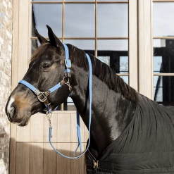 Kentucky Presentatielijn | Gevlochten Nylon | 2M -Equestrian Supply Store 485a8986 e8502ded370e565d04389cf2c54c4715 article photobook crop