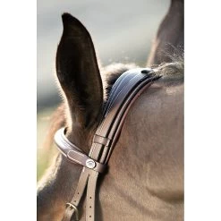 HFI Technical Hoofdstel 22 HFI Technical Hoofdstel -Equestrian Supply Store 5.hfi013br20 20tetiere