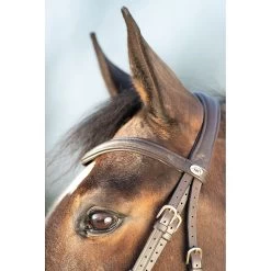 HFI Technical Hoofdstel 17 HFI Technical Hoofdstel -Equestrian Supply Store 5.hfi015br20tetiere1