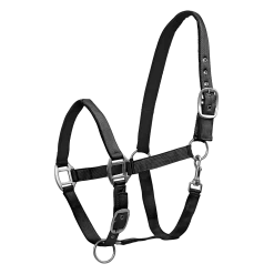 Halster Satin 12 Halster Satin -Equestrian Supply Store 502501 PON 601