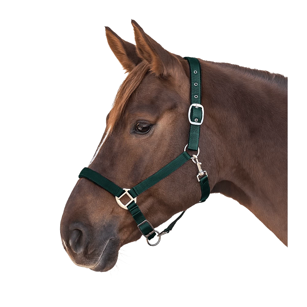 Halster Satin 3 Halster Satin