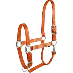 Equi-thème éclat Halster -Equestrian Supply Store 510080oranje