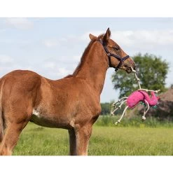 QHP Paardenspeelgoed 19 QHP Paardenspeelgoed -Equestrian Supply Store 5190uni 2