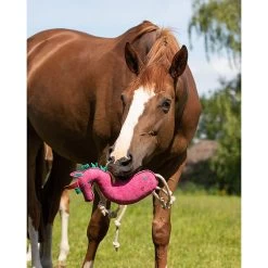 QHP Paardenspeelgoed 18 QHP Paardenspeelgoed -Equestrian Supply Store 5190uni 3