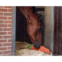 QHP Paardenspeelgoed | XL -Equestrian Supply Store 5192wor 2