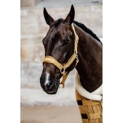 Kentucky Halster | Velvet -Equestrian Supply Store 5N1A2155