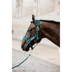 Kentucky Halster | Velvet -Equestrian Supply Store 5N1A2280