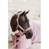 Kentucky Halster | Velvet -Equestrian Supply Store 5N1A2540