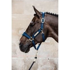 Kentucky Halster | Velvet -Equestrian Supply Store 5N1A2602