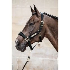 Kentucky Halster | Velvet -Equestrian Supply Store 5N1A2658