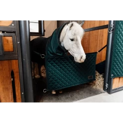 Kentucky Deurafsluiting 21 Kentucky Deurafsluiting -Equestrian Supply Store 64a5073b14340 4e1730819b4f49c22847da0d0ce0d19f5b365403 179A2690