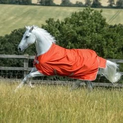 Bucas Freedom Turnout Light | 0 Gram -Equestrian Supply Store BU643grenadine