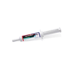 Equine America Buteless | Pasta