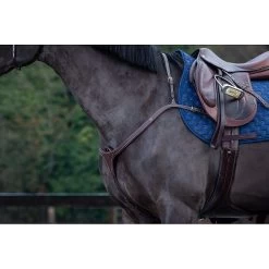 Dy'on Long Bridge Borsttuig - D Collectie