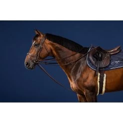 Dy'on Lederen Slofteugel | US Collectie