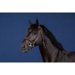 Dy'on Anatomisch Hoofdstel Flash Neusriem | US Collectie -Equestrian Supply Store DYUSABAB.1