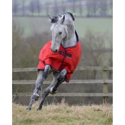 Bucas Freedom Turnout Light | 0 Gram -Equestrian Supply Store Freedom20Turnout20Crimson20Red2075643