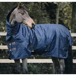 Kentucky Deken All Weather | Pro | 300G -Equestrian Supply Store GL52109navy4