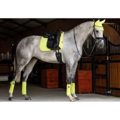 LeMieux Zadeldek Suede | DR 40 LeMieux Zadeldek Suede | DR -Equestrian Supply Store JRLMSPSUDRKiwi2