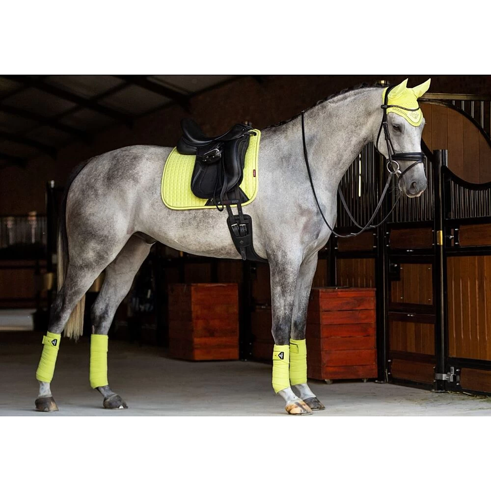 LeMieux Zadeldek Suede | DR 21 LeMieux Zadeldek Suede | DR - Image 19