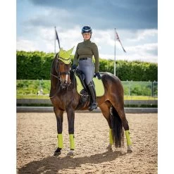 LeMieux Zadeldek Suede | DR 39 LeMieux Zadeldek Suede | DR -Equestrian Supply Store JRLMSPSUDRKiwi3