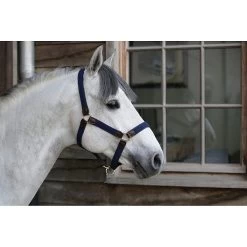 Kentucky Halster | Gevlochten Nylon -Equestrian Supply Store Kentucky20gevlochten20nylon20halster4