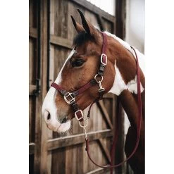 Kentucky Halster | Gevlochten Nylon -Equestrian Supply Store Kentucky20gevlochten20nylon20halster5