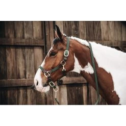 Kentucky Halster | Gevlochten Nylon -Equestrian Supply Store Kentucky20gevlochten20nylon20halster6