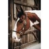 Kentucky | Grooming Halster | Leer -Equestrian Supply Store Kentucky Grooming Halter