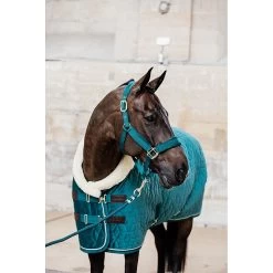 Kentucky Halstertouw | Basic -Equestrian Supply Store Kentucky HalsterTouw Emerald