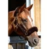 Kentucky Halsterset | Wol | 4 Stuks -Equestrian Supply Store Kentucky Halsterset Wol Bruin 2