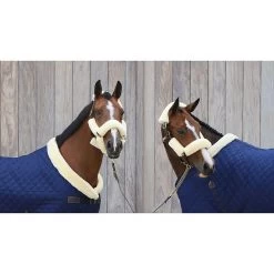 Kentucky Halsterset | Wol | 4 Stuks -Equestrian Supply Store Kentucky Halsterset Wol Naturel
