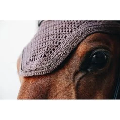 Kentucky Oornetje | Wellington | Sparkling -Equestrian Supply Store Kentucky Oornetje Bruin Sparkling 2