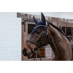 Kentucky Oornetje | Soundless