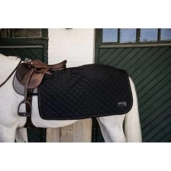 Kentucky Uitrijdeken | Vierkant | 160G