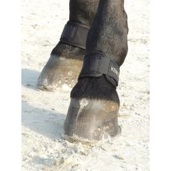 Kentucky| Kootbeschermer