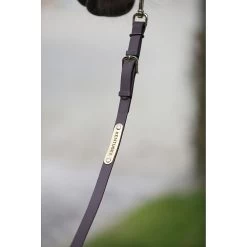 Kentucky Leidsel | 2M -Equestrian Supply Store Kentucky leidsel 2m 3