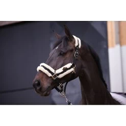 Kentucky Halster | Nylon + Wol 20 Kentucky Halster | Nylon + Wol -Equestrian Supply Store Kentucky nylon halster wol 5