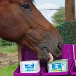 Liksteen | 3KG -Equestrian Supply Store Krauterblock 3kg Pferd schleckt1