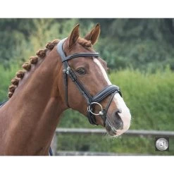 LJ Hoofdstel Pro Selected Superior