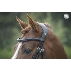 LJ Hoofdstel Pro Selected Superior -Equestrian Supply Store LJ leathers superior hoofdstel PS107an zwart2