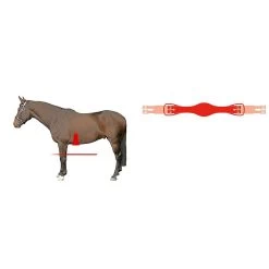 Mattes Anatomische Singel Dressuur 75cm -Equestrian Supply Store Mattes2060562612