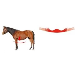 Mattes Gevormd Singel Dressuur 70cm -Equestrian Supply Store Mattes2060563510