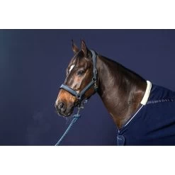 Dy'on Halstertouw | Met Afneembare Clip -Equestrian Supply Store NE10Alonge avec mousqueton amovible bleu new english collection 3