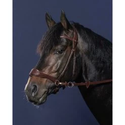 Dy'on Hoofdstel D Motion | Zilveren Gespen -Equestrian Supply Store NECCCWbridon d motion brun full new english collection 3
