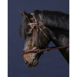 Dy'on Hoofdstel D Motion | Zilveren Gespen -Equestrian Supply Store NECCCWbridon d motion brun full new english collection 4