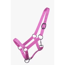 QHP Jaarling Halster -Equestrian Supply Store QH1114ROZE